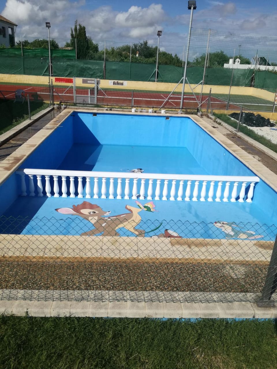 Swimming pool