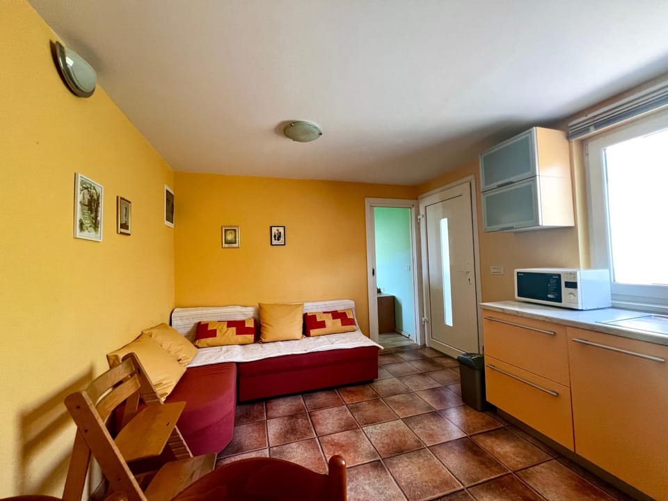 Kitchen or kitchenette, kitchen