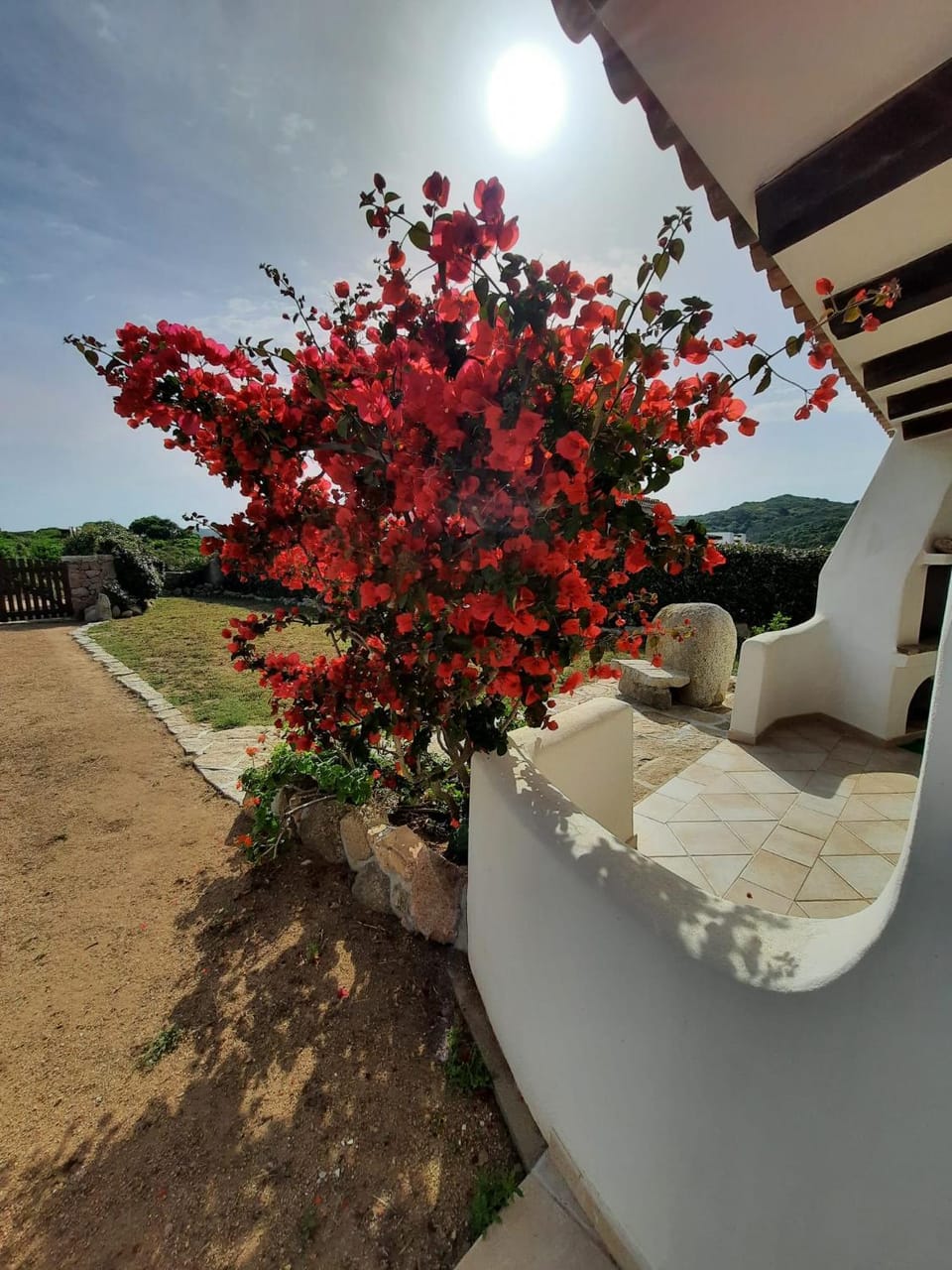 Garden view