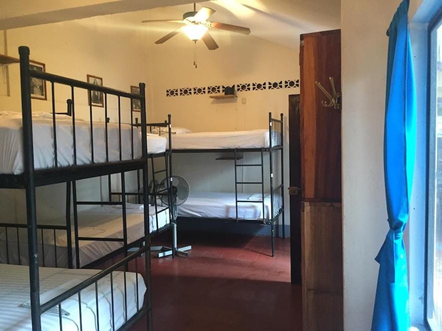 Hostal La Tortuga Booluda Hostel in Nicaragua