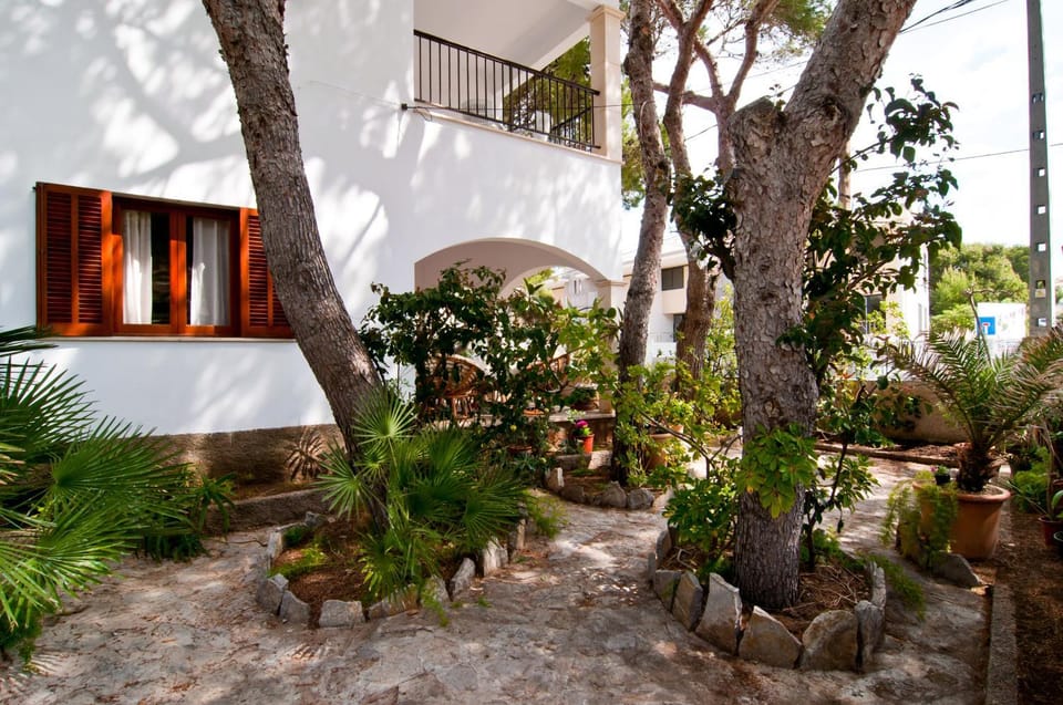 Patio, Garden, Garden view