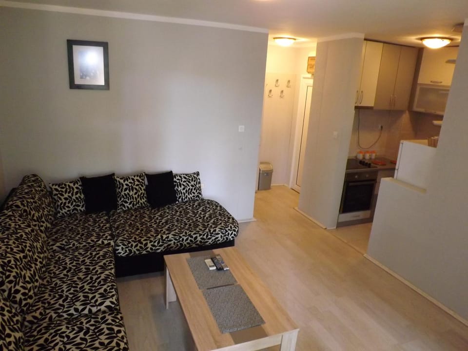 Kitchen or kitchenette, Living room, Seating area