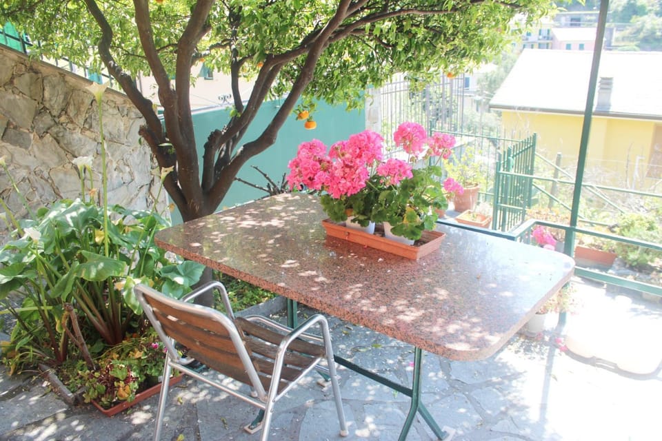 Balcony/Terrace, Dining area, Garden view