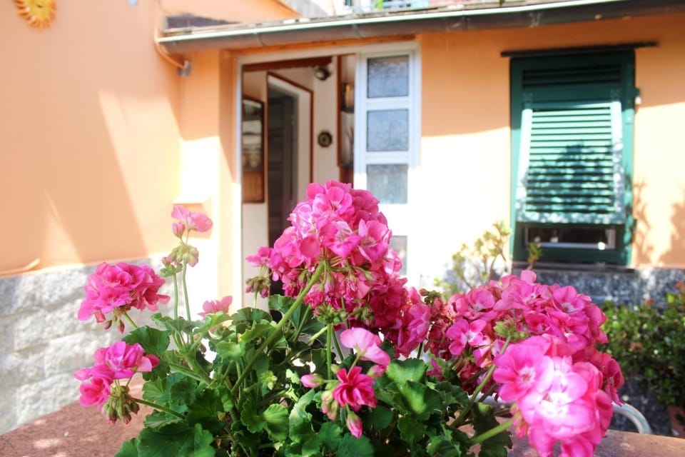 Property building, Spring, Garden, Garden view