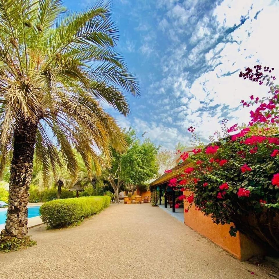 Auberge Plein Soleil Inn in Thiès Region, Senegal