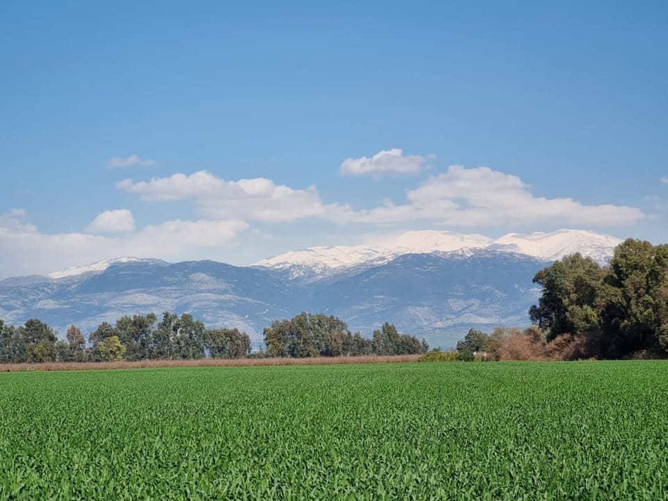 View (from property/room), Mountain view