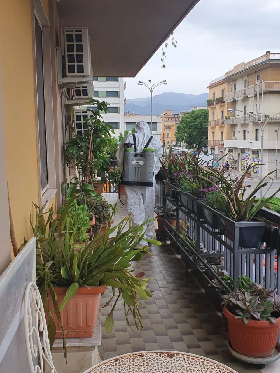 Staff, Staff, Neighbourhood, Balcony/Terrace, City view, Street view