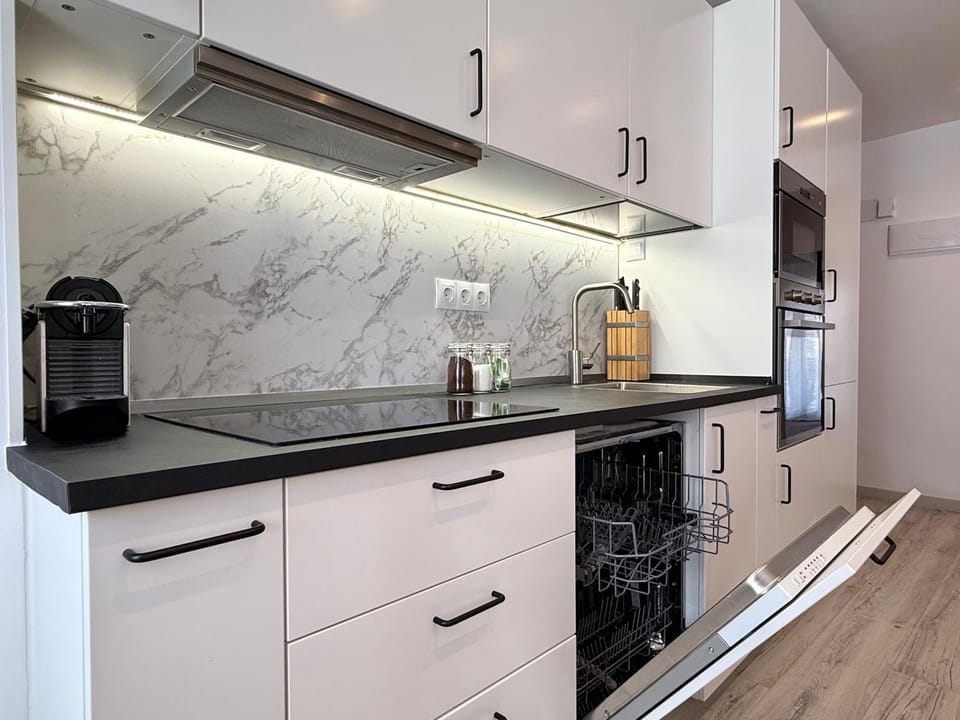 Kitchen or kitchenette, dishwasher, stove
