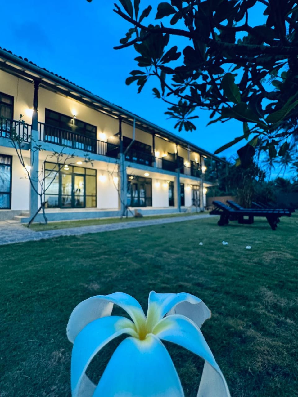 Property building, Garden, Garden view
