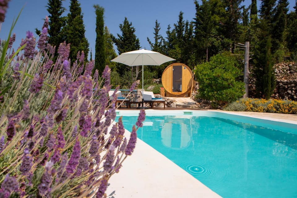 Day, Garden, Garden view, Pool view, Swimming pool, sunbed