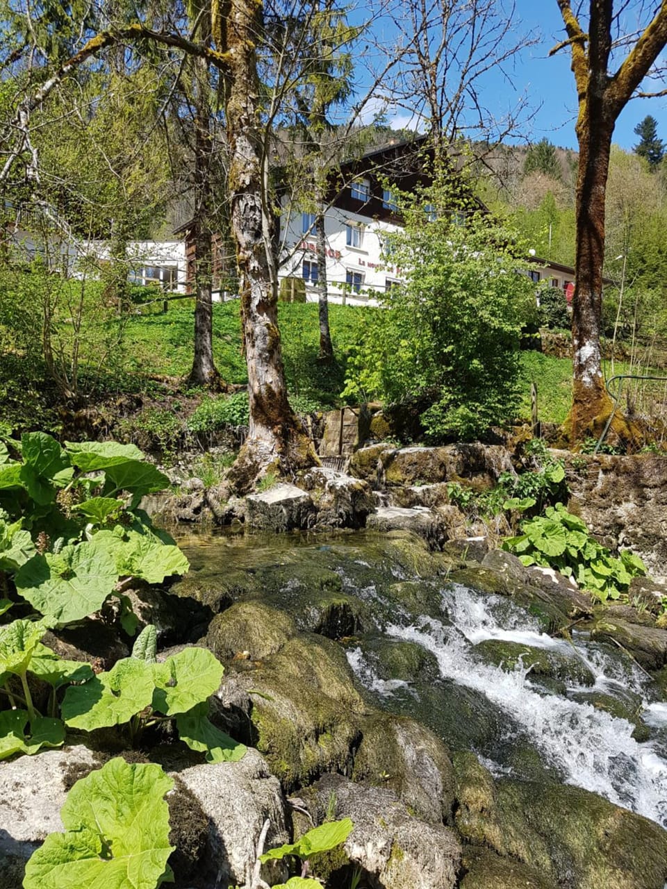 River view