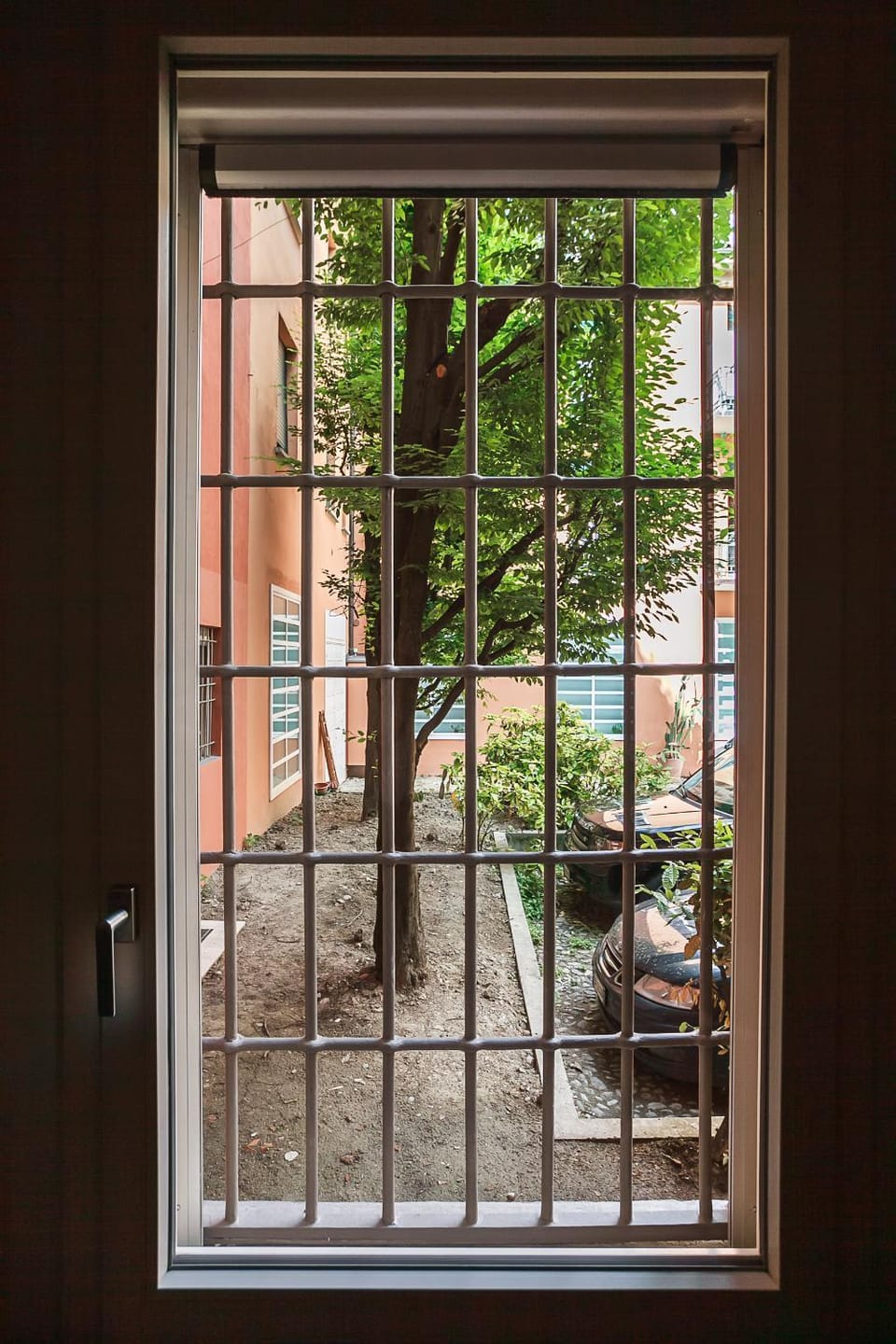 Garden view