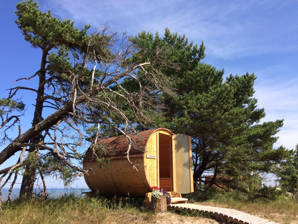 Kempings Saulesmājas Campground/ 
RV Resort in Estonia