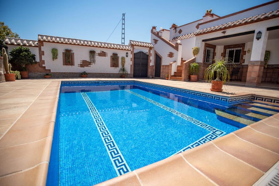 Swimming pool, Swimming pool