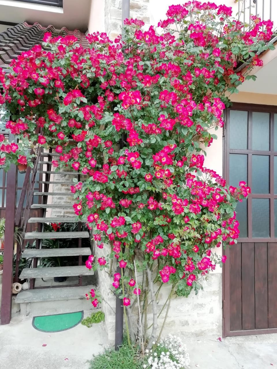 Cit Ni Bed and Breakfast in Piedmont