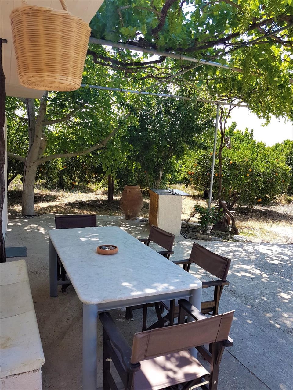 Summer, Garden, On site