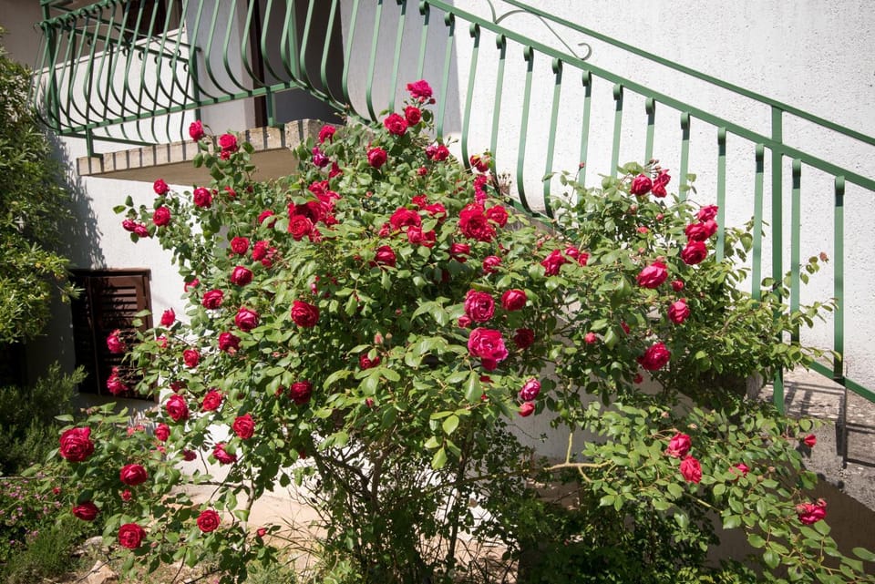 Apartment Alana Apartment in Split-Dalmatia County