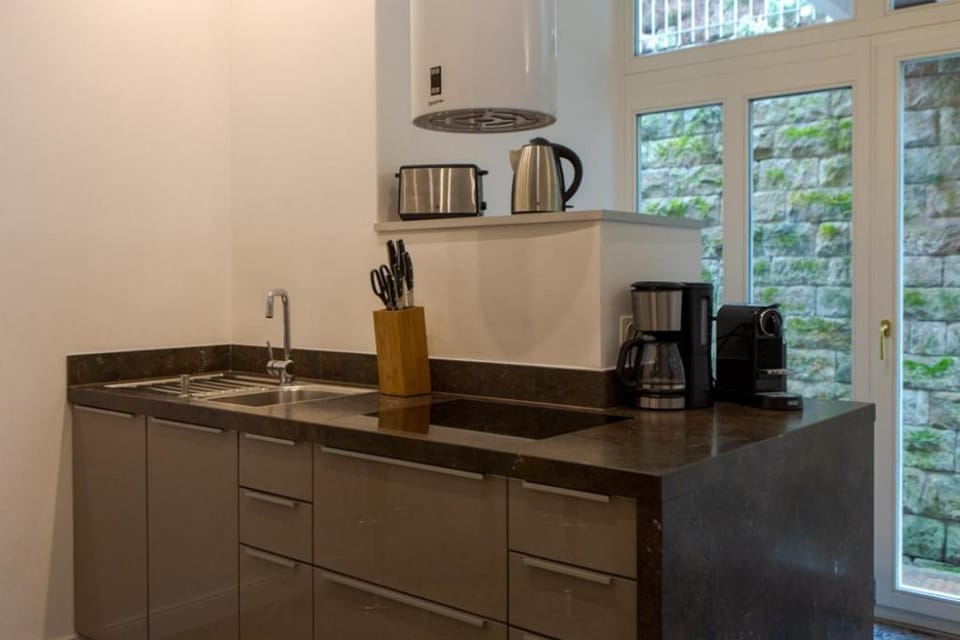 Villa Elbufer Apartment in Bad Schandau