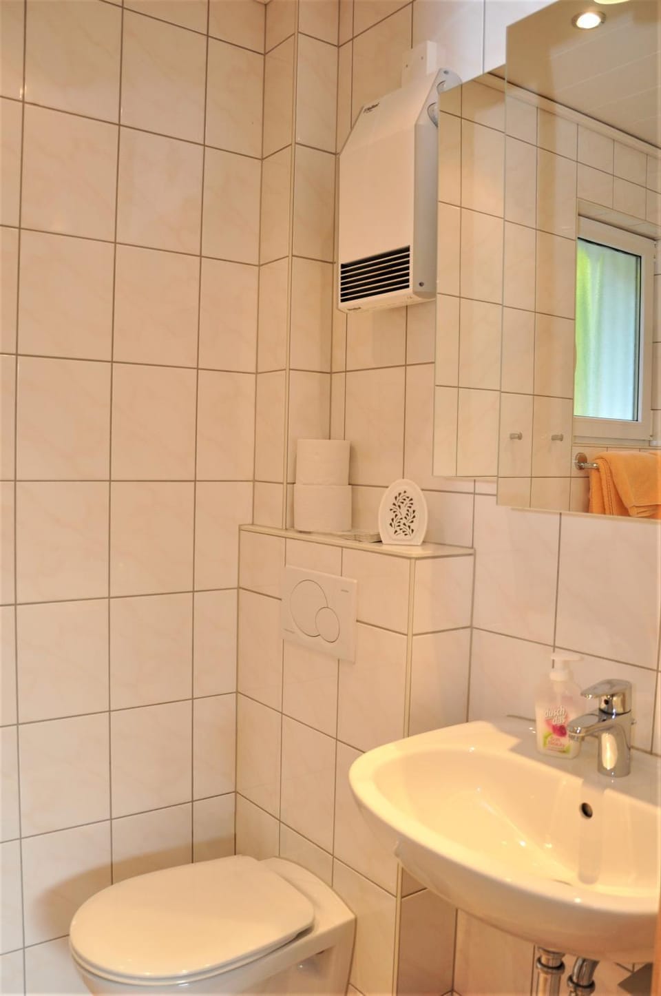 Toilet, Bathroom