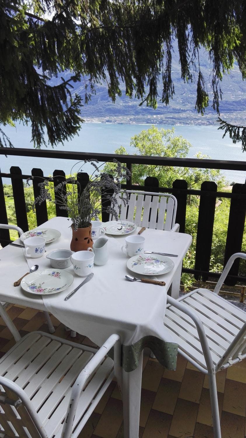 Balcony/Terrace, Lake view