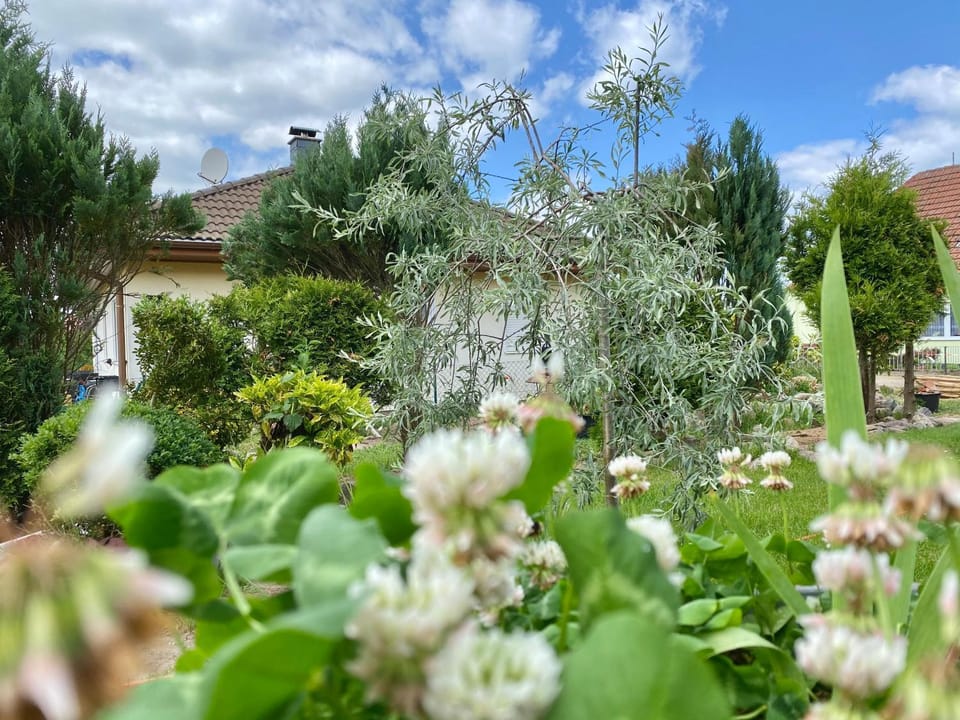 Apartmenthaus Lütt Meer Apartment in Mecklenburgische Seenplatte