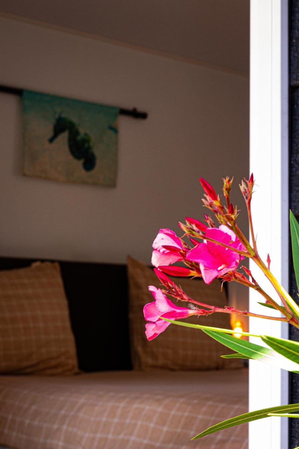 De Zilte Zeehoeve Bed and Breakfast in Zeeland, Netherlands