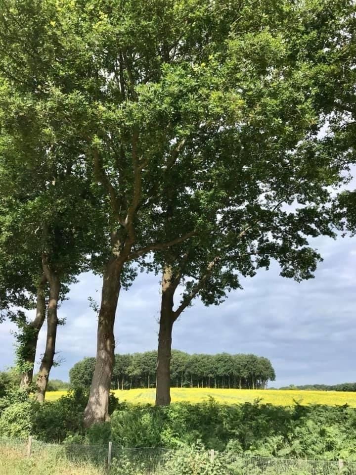 Day, Natural landscape