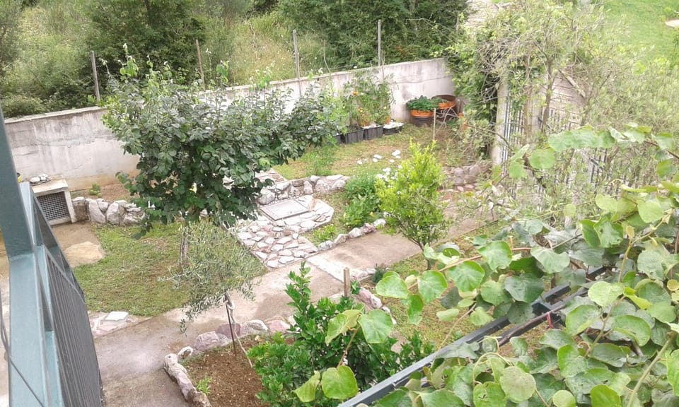 Patio, Facade/entrance, Neighbourhood, Bird's eye view