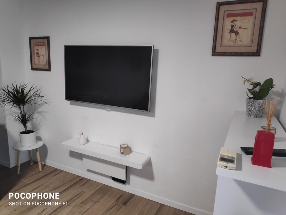 TV and multimedia