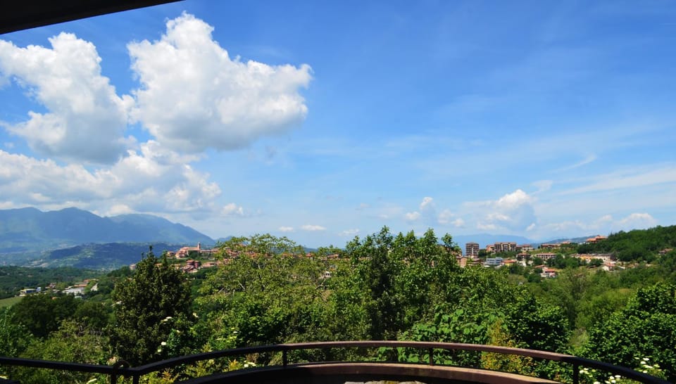 View (from property/room)