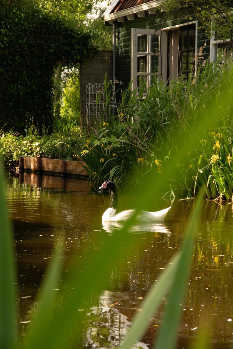 Spring, Natural landscape, Garden view