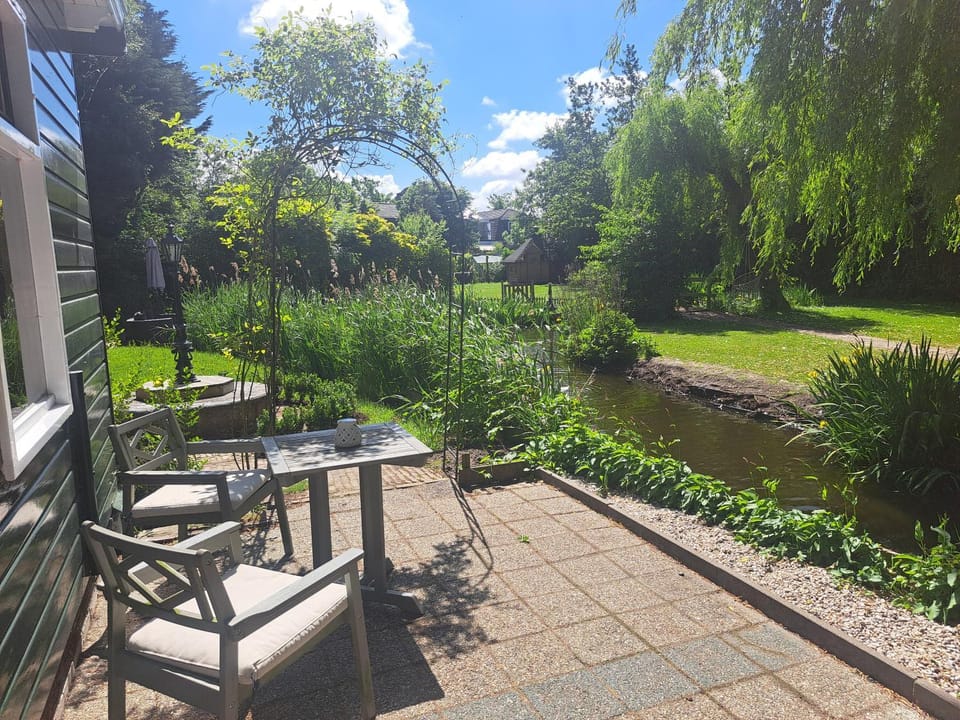 Day, Garden, Garden view