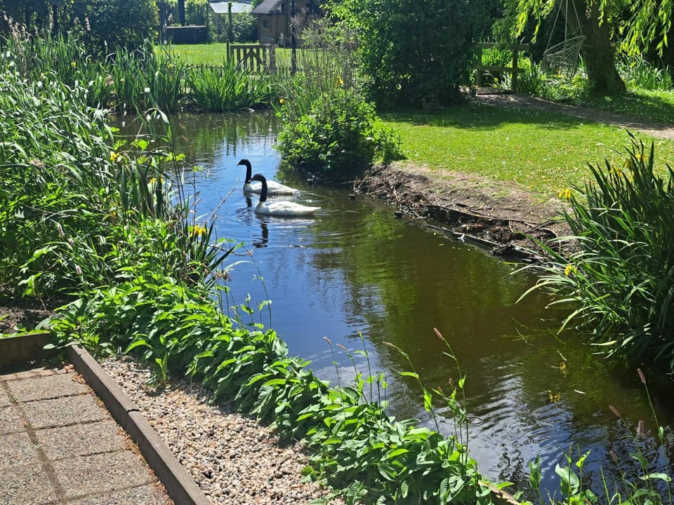 Spring, Day, Garden, Garden view, Lake view