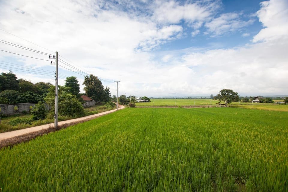 Natural landscape