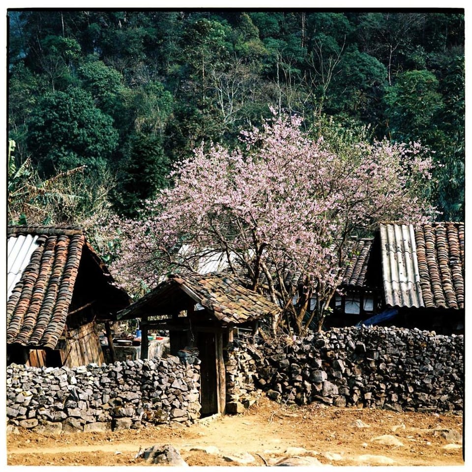 Huyen Tram Guesthouse Bed and Breakfast in Vietnam