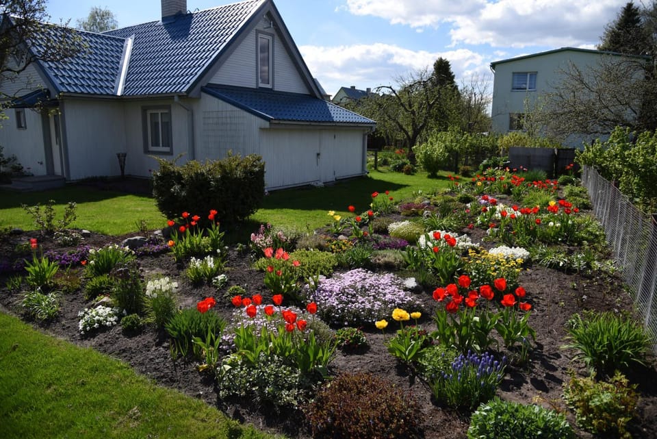 Spring, Garden view