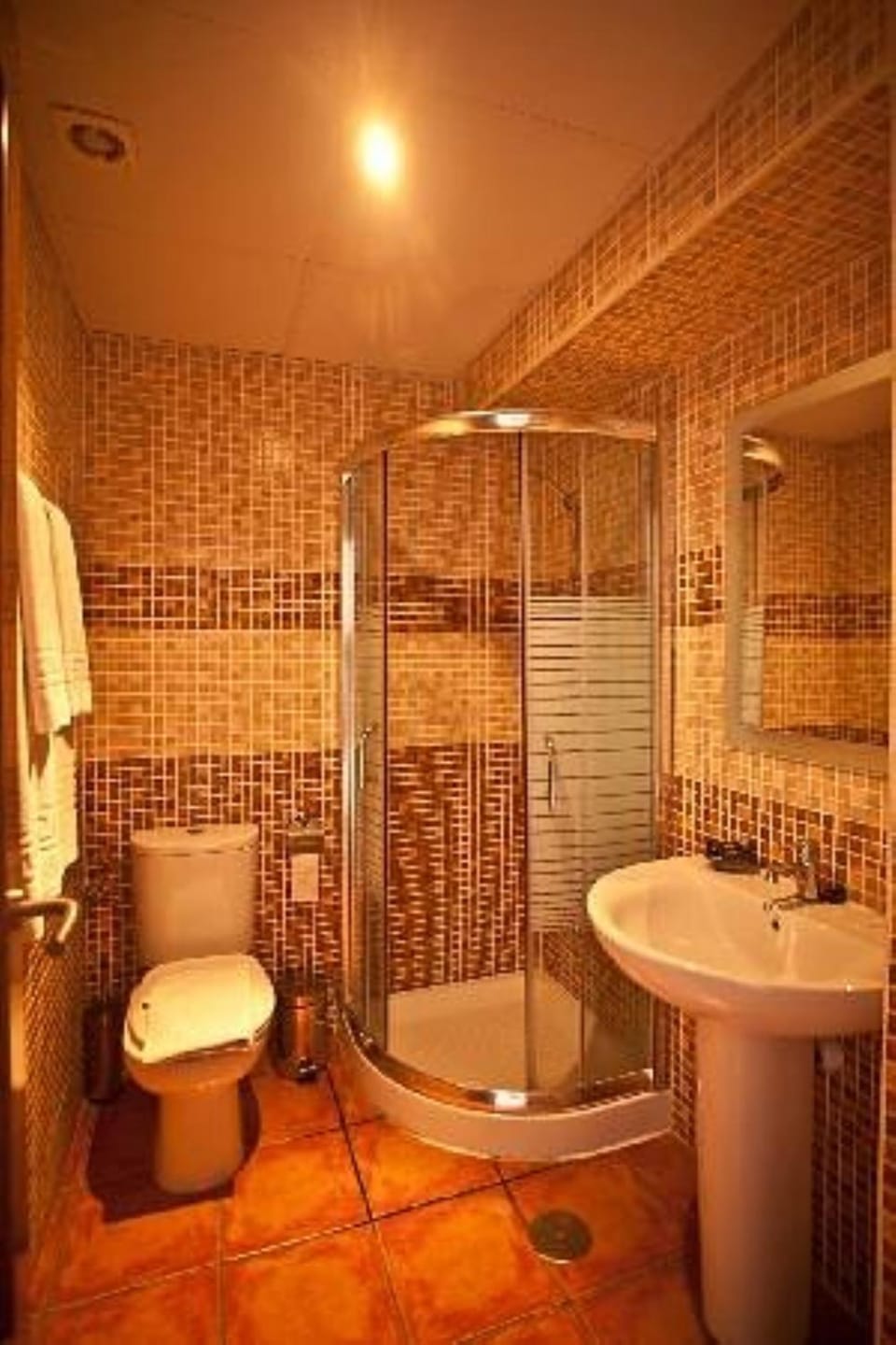 Shower, Toilet, Bathroom, towels