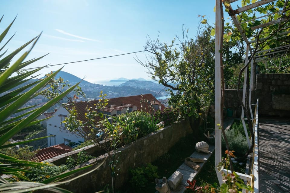 View (from property/room)