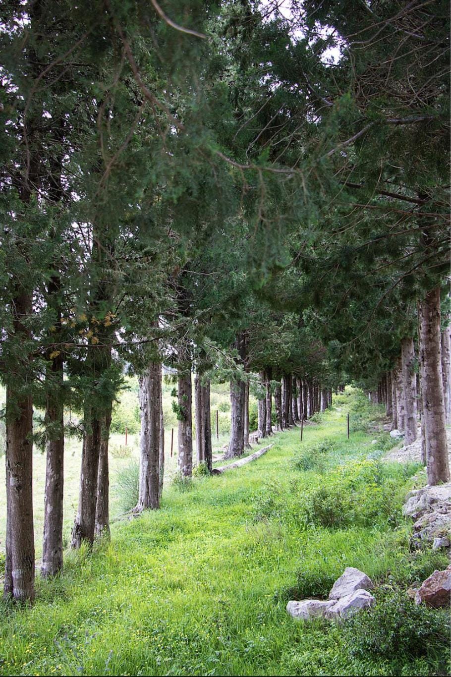 Natural landscape
