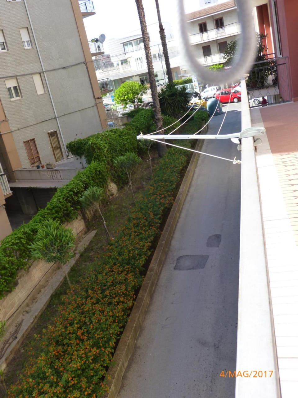 Garden view