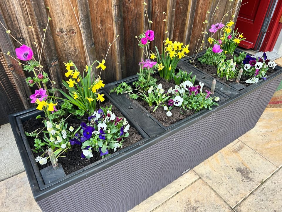 Spring, Garden
