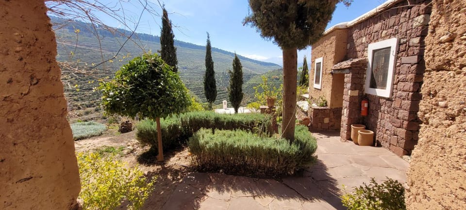 Garden, Mountain view