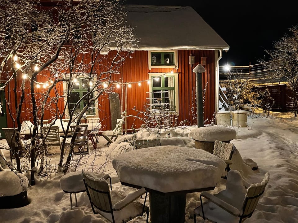 Winter