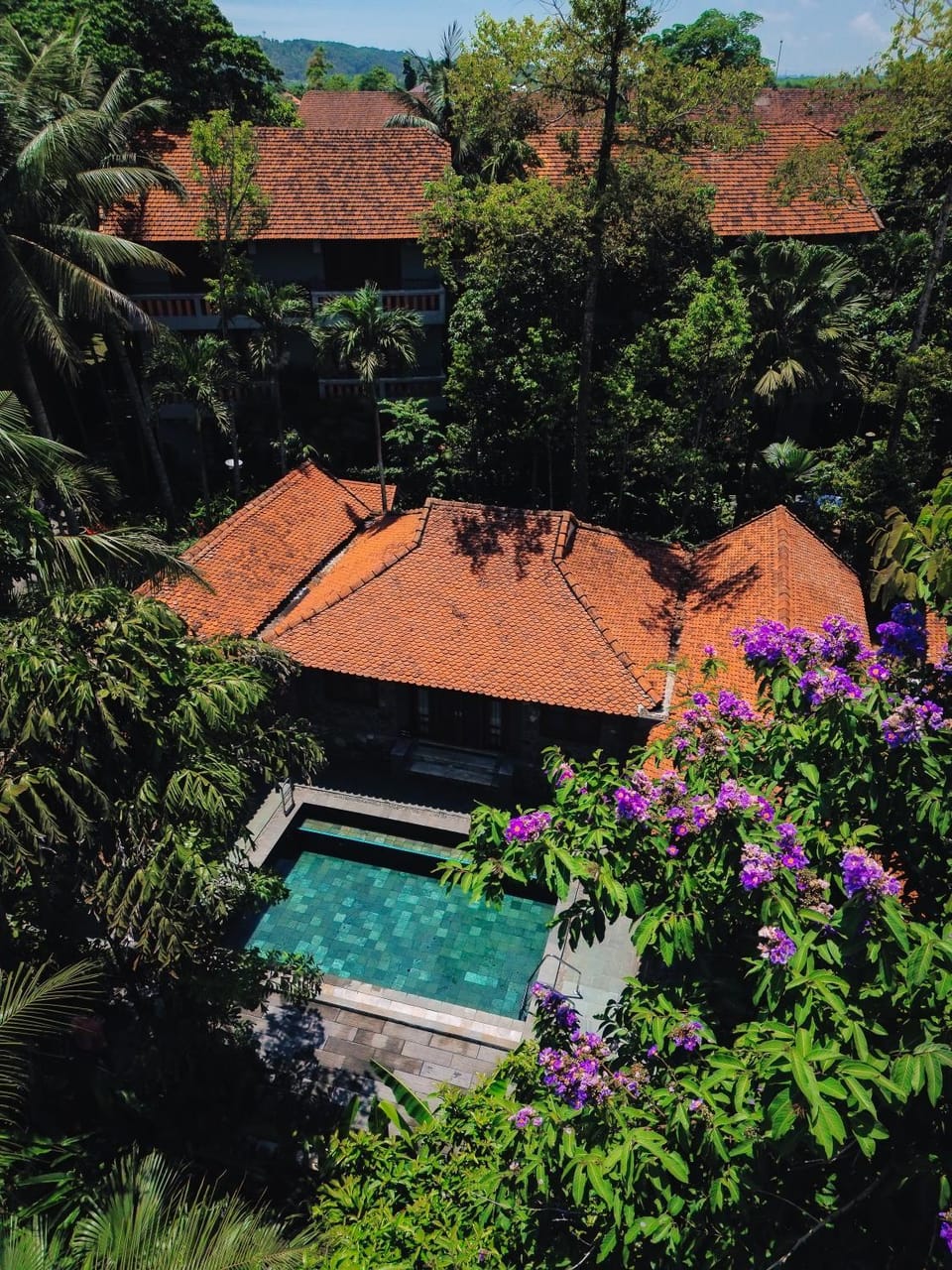 Pool view, Swimming pool