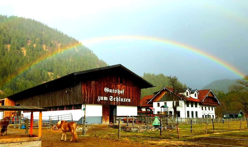 Gutshof zum Schluxen Apartment in Tyrol