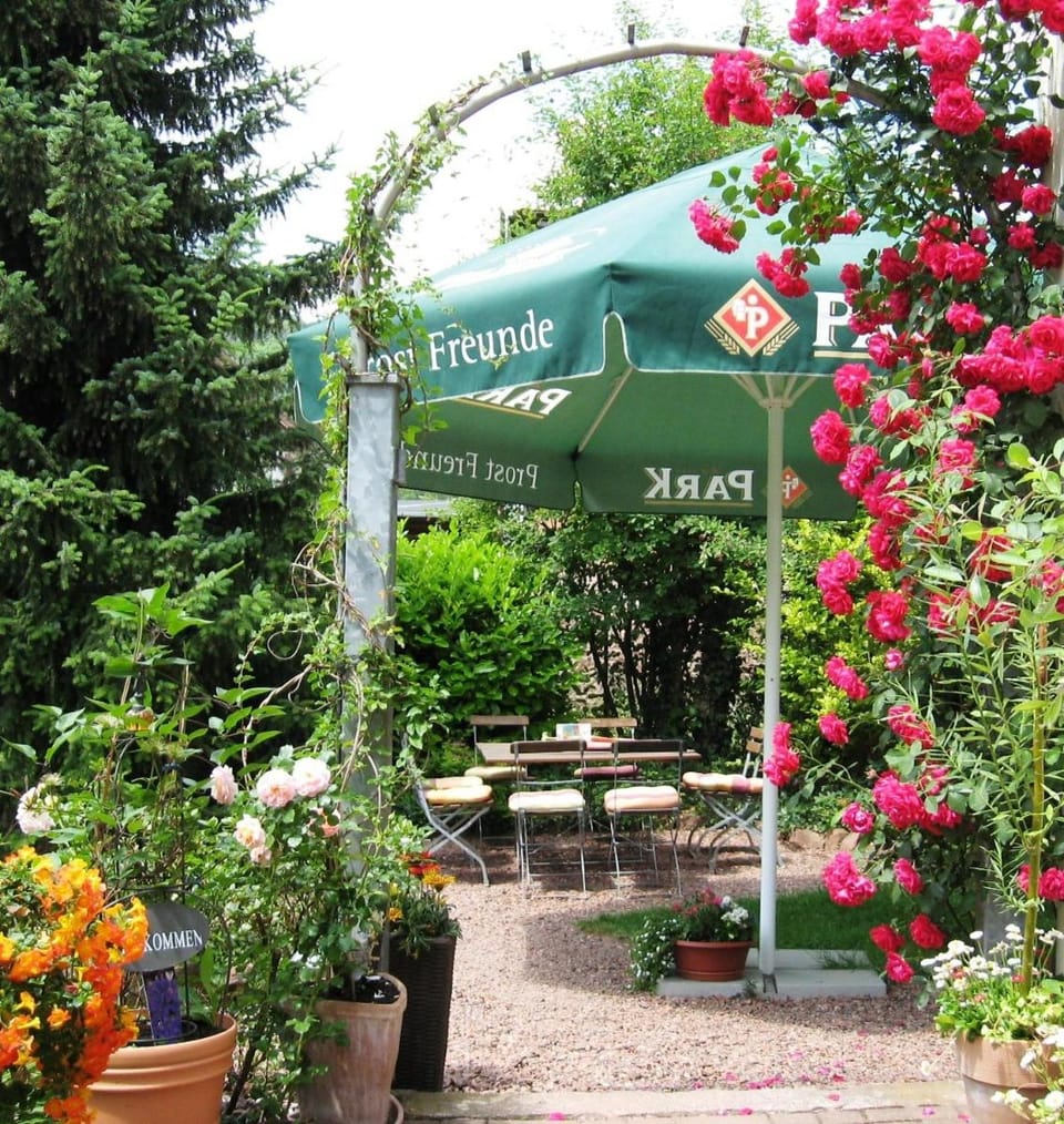 Facade/entrance, Garden