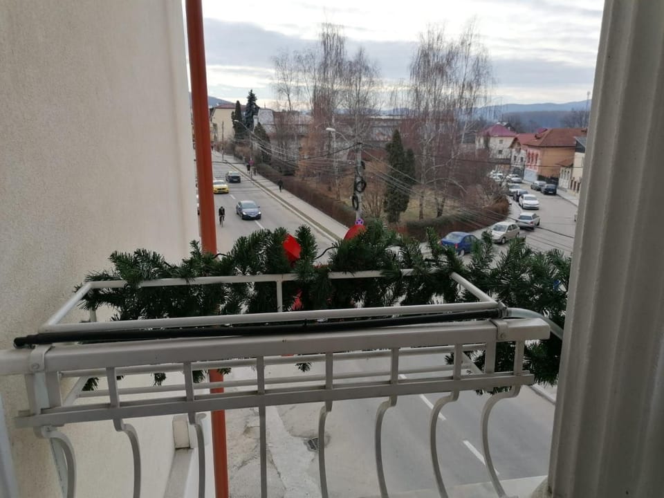 Pensiunea Geostar Bed and Breakfast in Romania