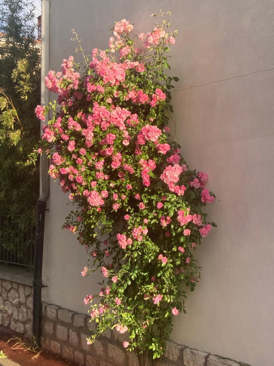 Property building, Spring