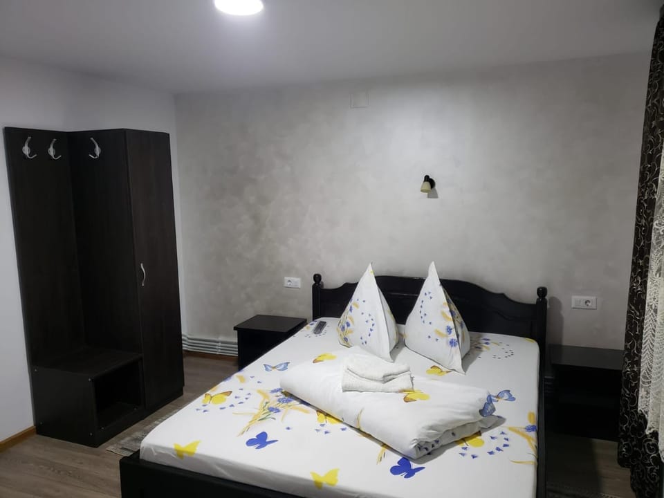 Casa Nicoleta Bed and Breakfast in Romania