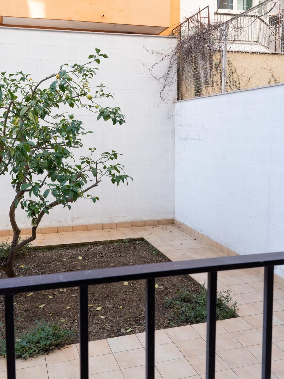 Patio, Garden, View (from property/room), Balcony/Terrace, Garden view